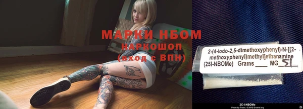 прущие грибы Ельня