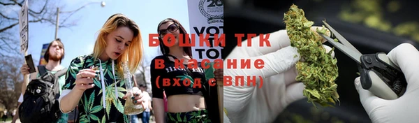 мяу мяу мука Елабуга