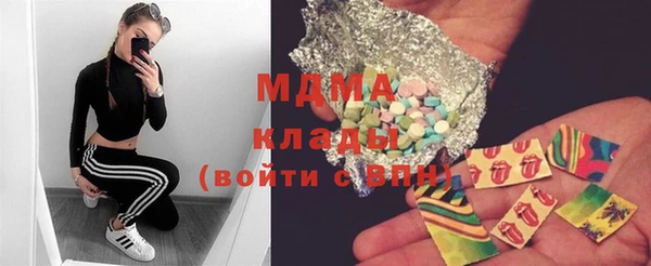 прущие грибы Ельня