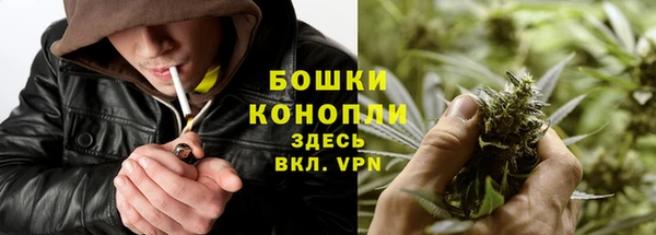 мяу мяу мука Елабуга