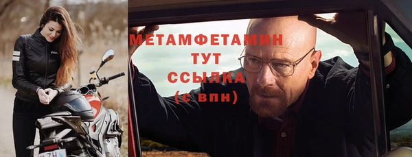 прущие грибы Ельня