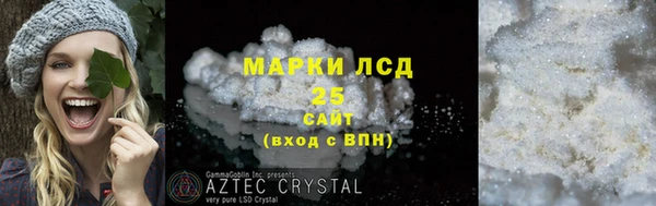 прущие грибы Ельня