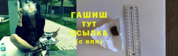 прущие грибы Ельня