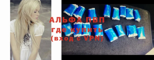 прущие грибы Ельня