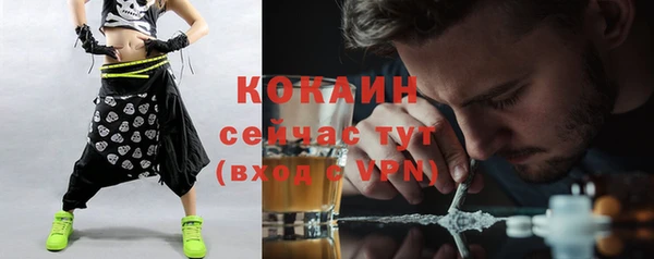 прущие грибы Ельня