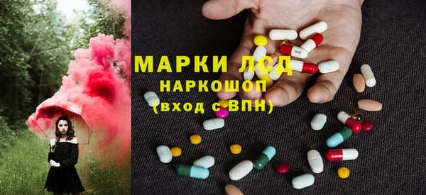 шишки Билибино
