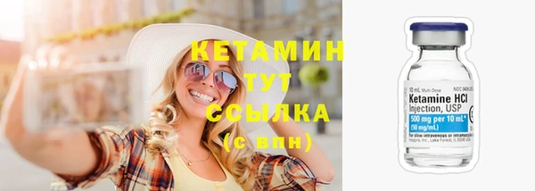 прущие грибы Ельня