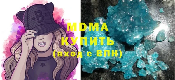 прущие грибы Ельня
