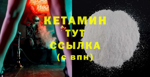 прущие грибы Ельня