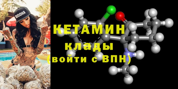 прущие грибы Ельня